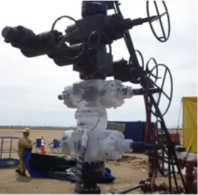 Cryogenic Freeze Image