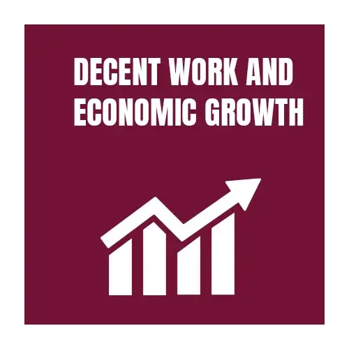 Sustainability - Decent Work and Economic Growth